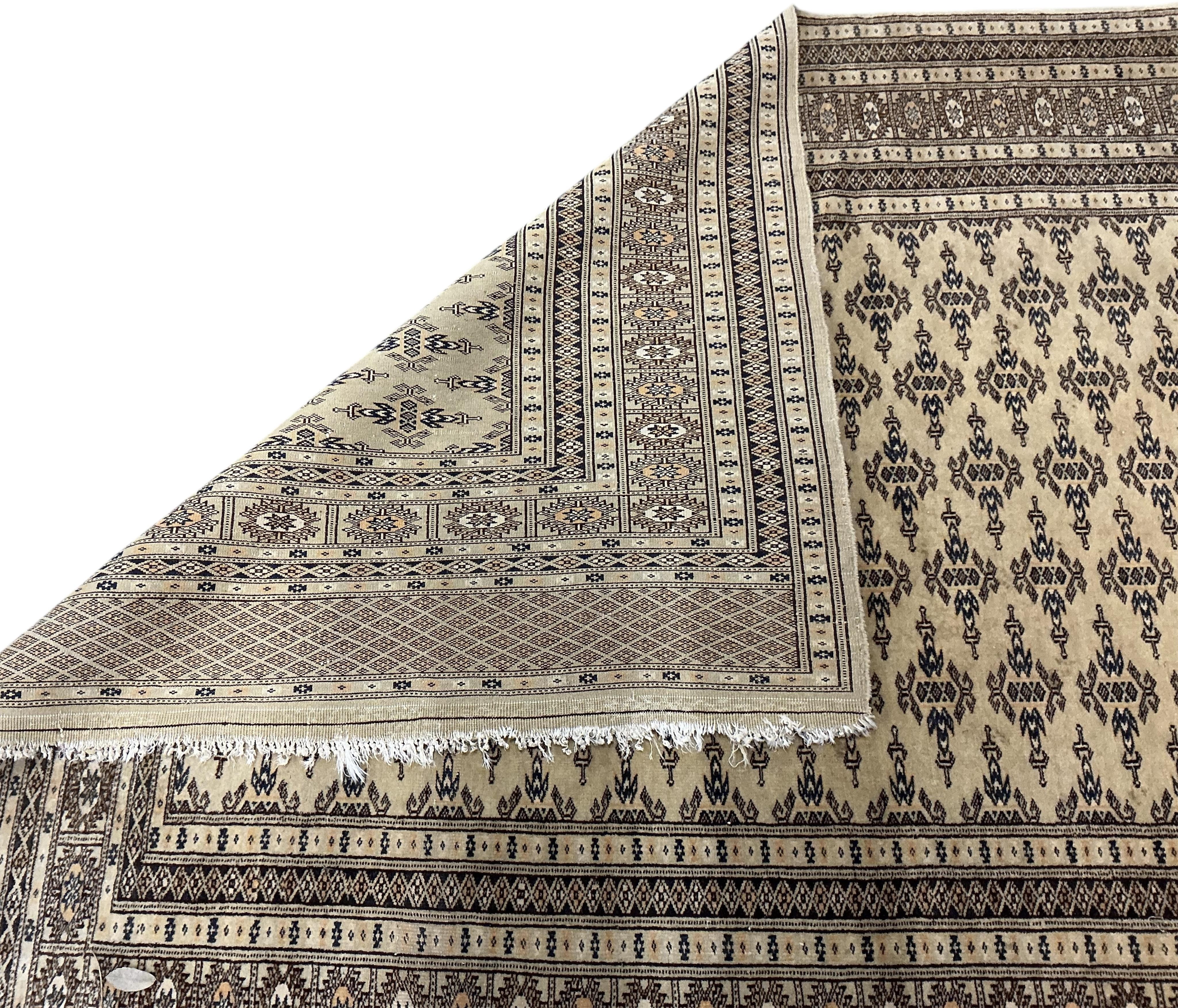 A North West Persian fawn ground rug, 196 x 126cm together with a flatweave rug